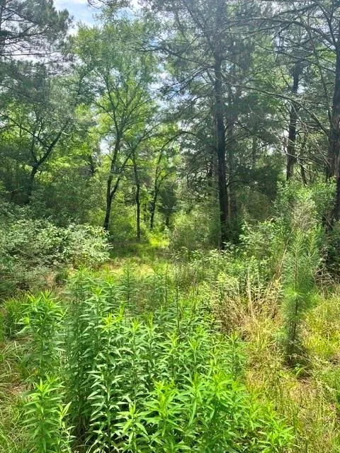 76 Pr 1286 Off Cr 114 Centerville, TX 75833