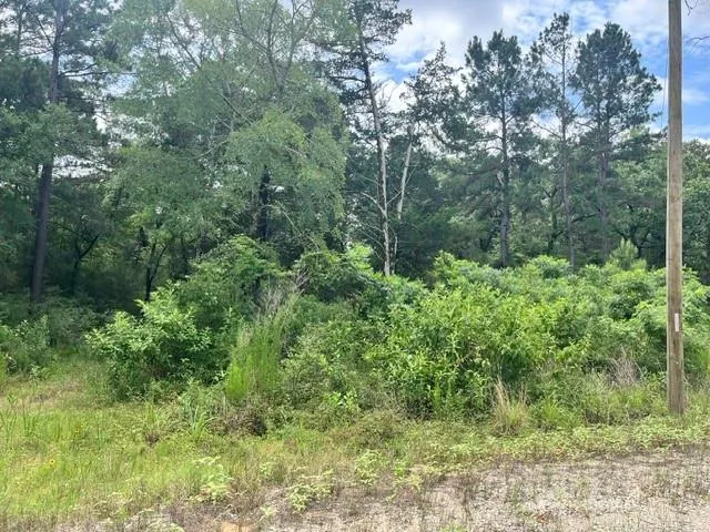 76 Pr 1286 Off Cr 114 Centerville, TX 75833