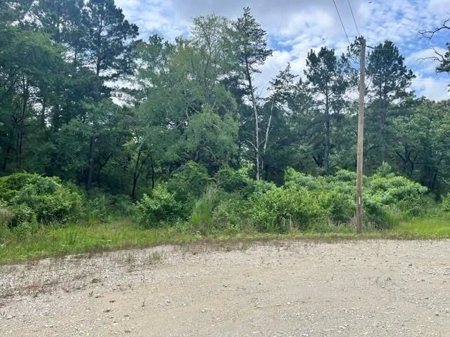 76 Pr 1286 Off Cr 114 Centerville, TX 75833