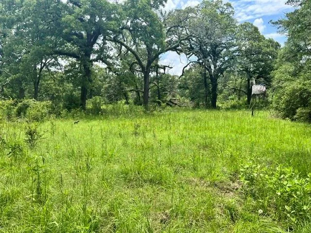 76 Pr 1286 Off Cr 114 Centerville, TX 75833