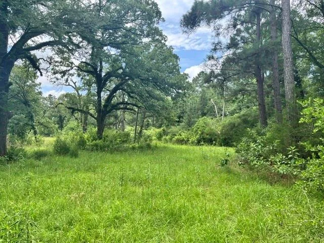 76 Pr 1286 Off Cr 114 Centerville, TX 75833
