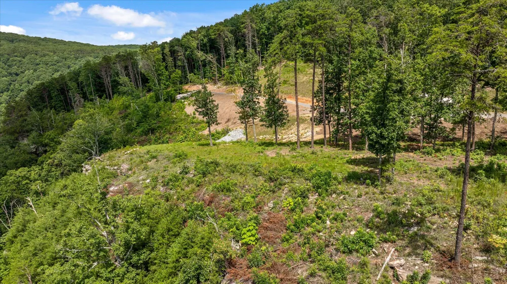 1134 Ransom Point Road Signal Mountain, TN 37377