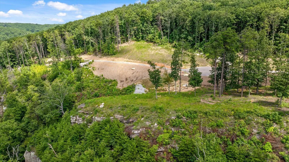 1134 Ransom Point Road Signal Mountain, TN 37377