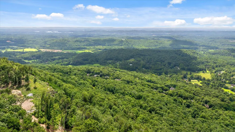 1134 Ransom Point Road Signal Mountain, TN 37377