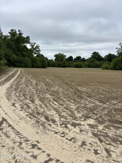 Blue Springs Road