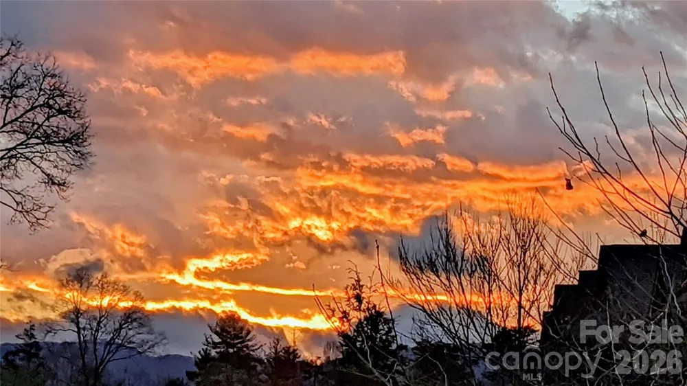 3 Holland Mountain View Asheville, NC 28804