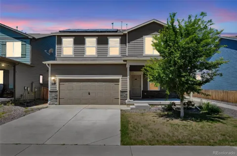 359 Maple Street