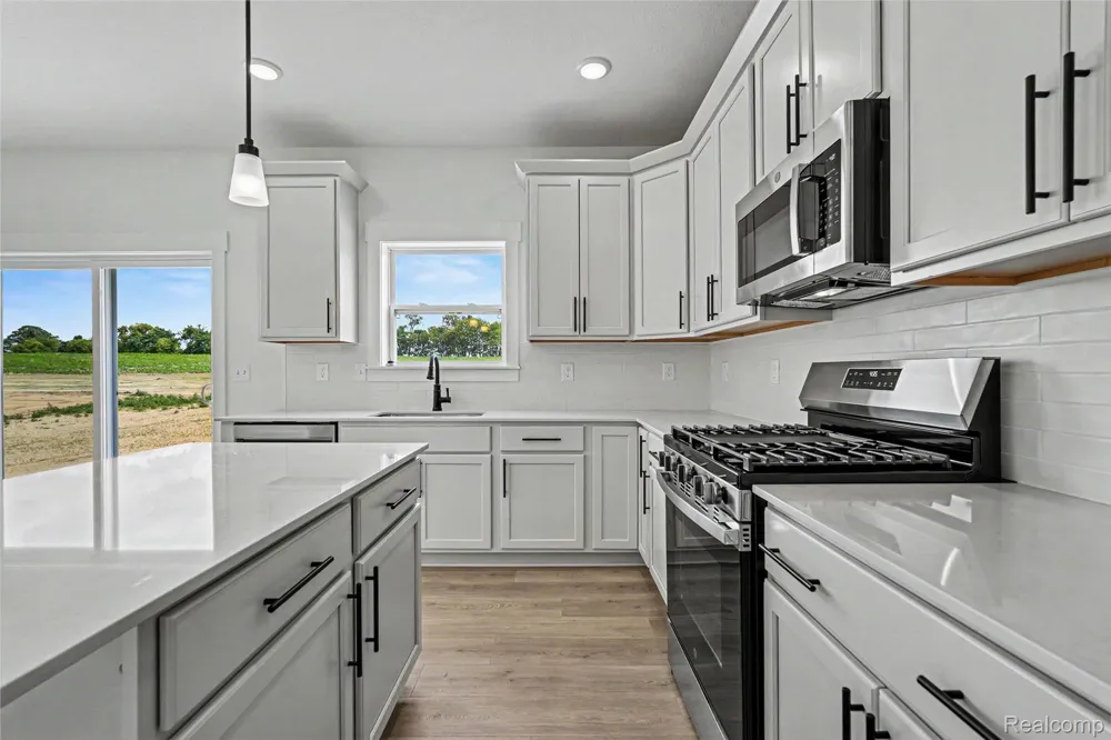 5421 Lily Ann Lane Dryden Township, MI 48428