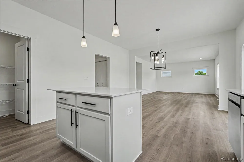 5421 Lily Ann Lane Dryden Township, MI 48428