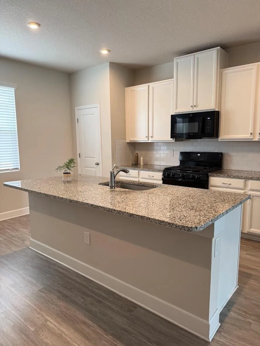 15084 CARAVAN AVENUE Odessa, FL 33556