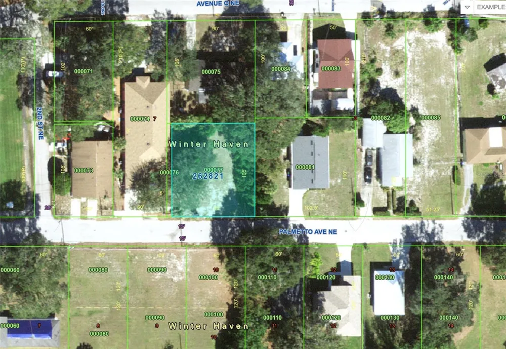 223 PALMETTO AVENUE NE Winter Haven, FL 33881