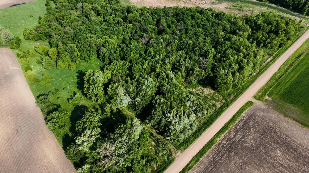 21810 Gonvick Avenue Morristown, MN 55052