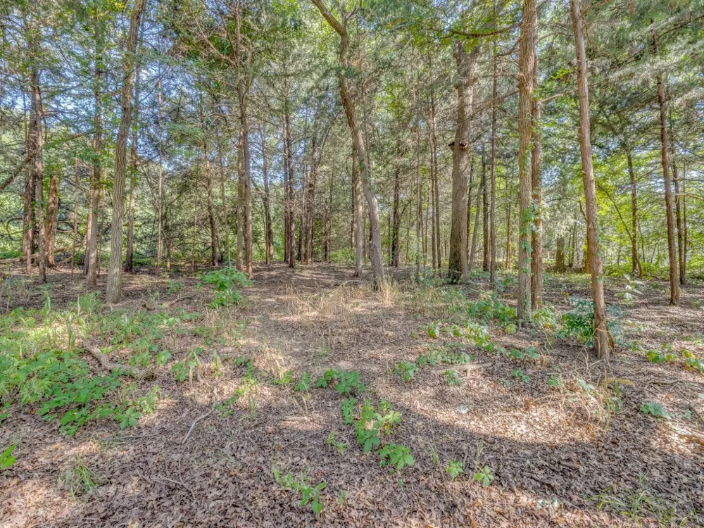 203 Pueblo Drive Lake Kiowa, TX 76240