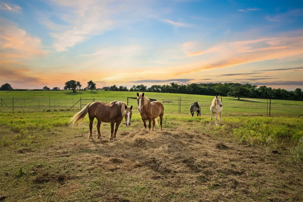 132 County Road 267 Cameron, TX 76520