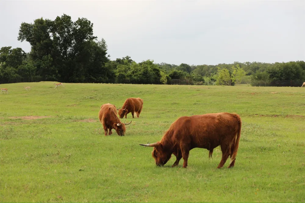 132 County Road 267 Cameron, TX 76520