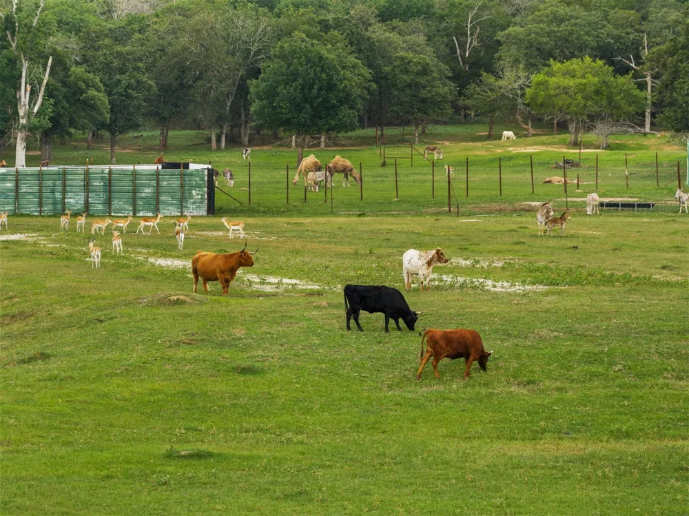 132 County Road 267 Cameron, TX 76520