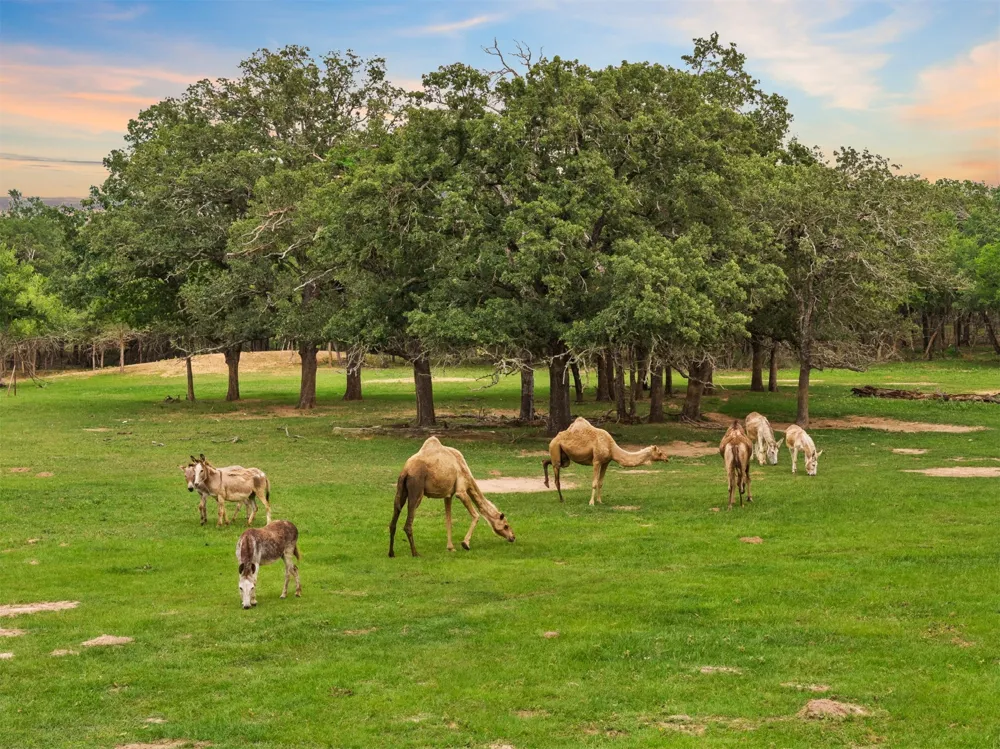 132 County Road 267 Cameron, TX 76520