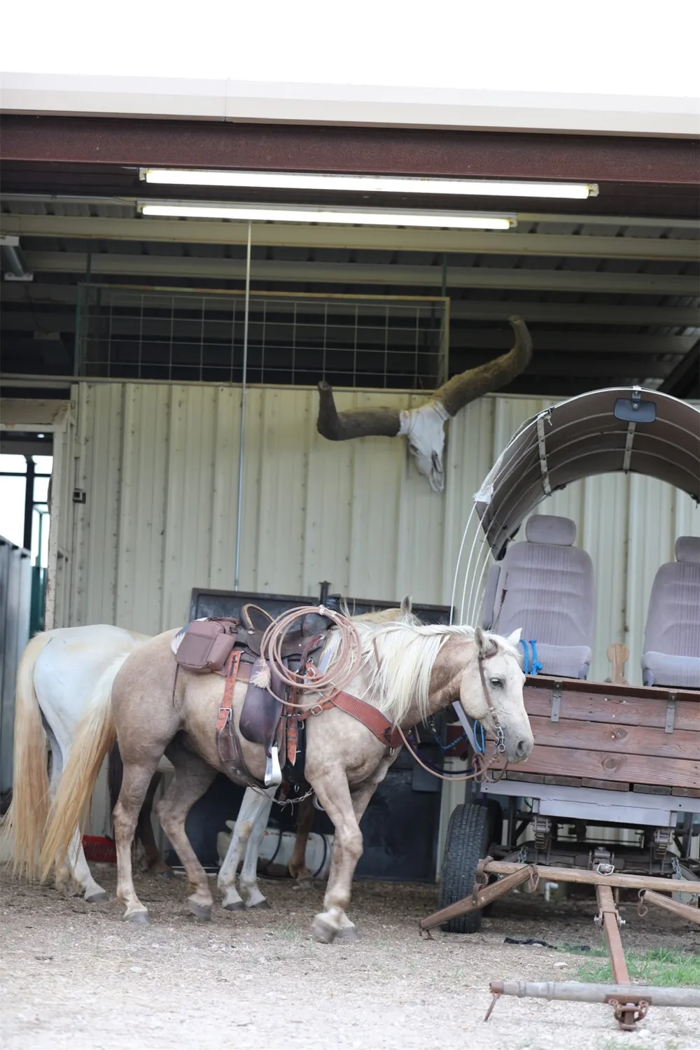 132 County Road 267 Cameron, TX 76520