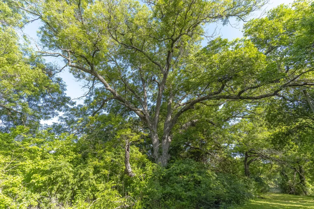 404 W Oak Street Mansfield, TX 76063