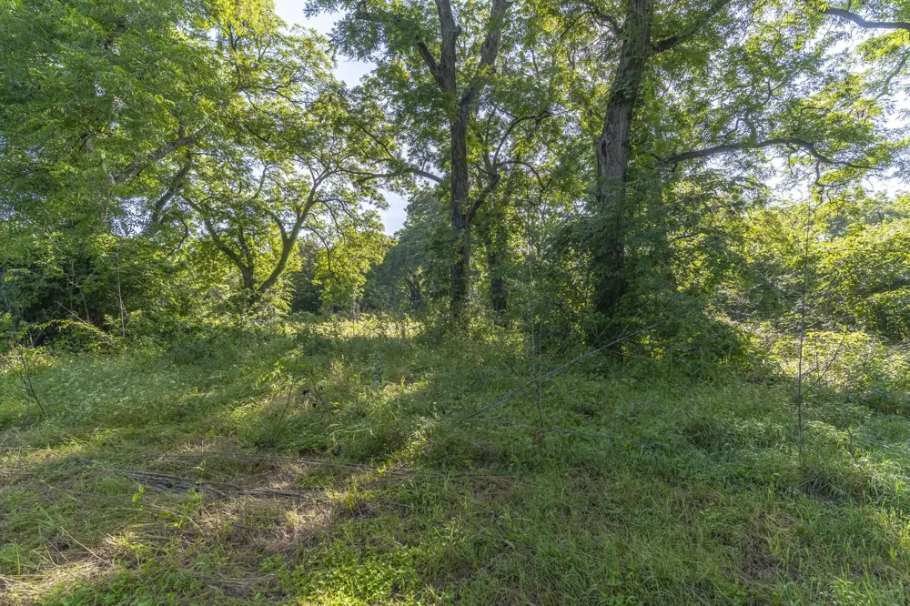 400 W Oak Street Mansfield, TX 76063