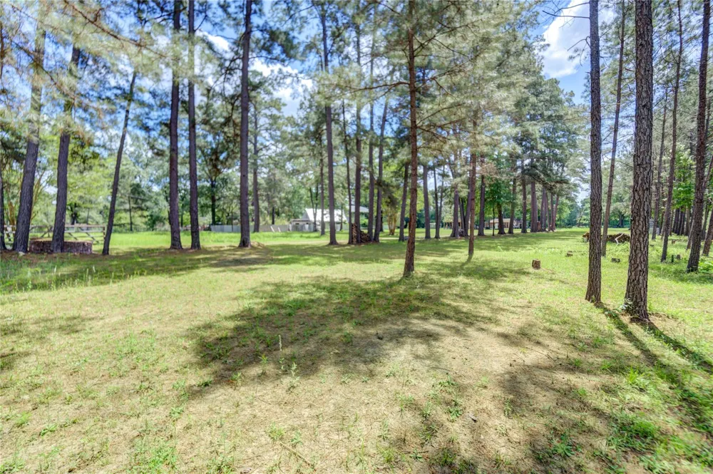 14016 Calhoun Conroe, TX 77302