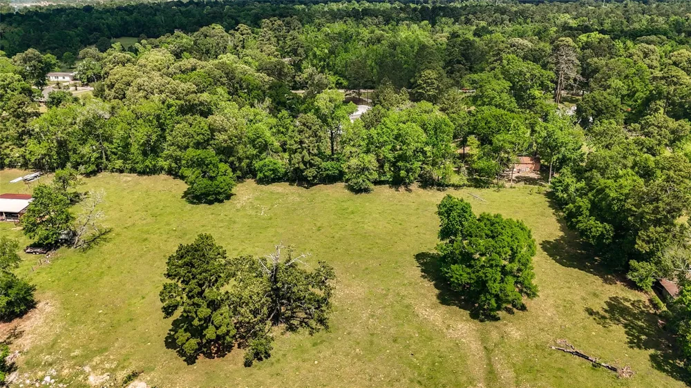14016 Calhoun Conroe, TX 77302