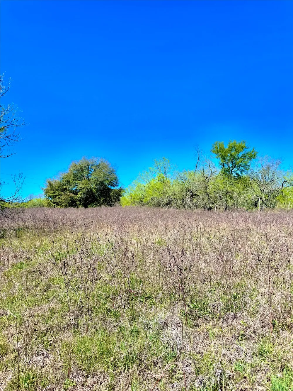 3775 Baker Road Kingsbury, TX 78638