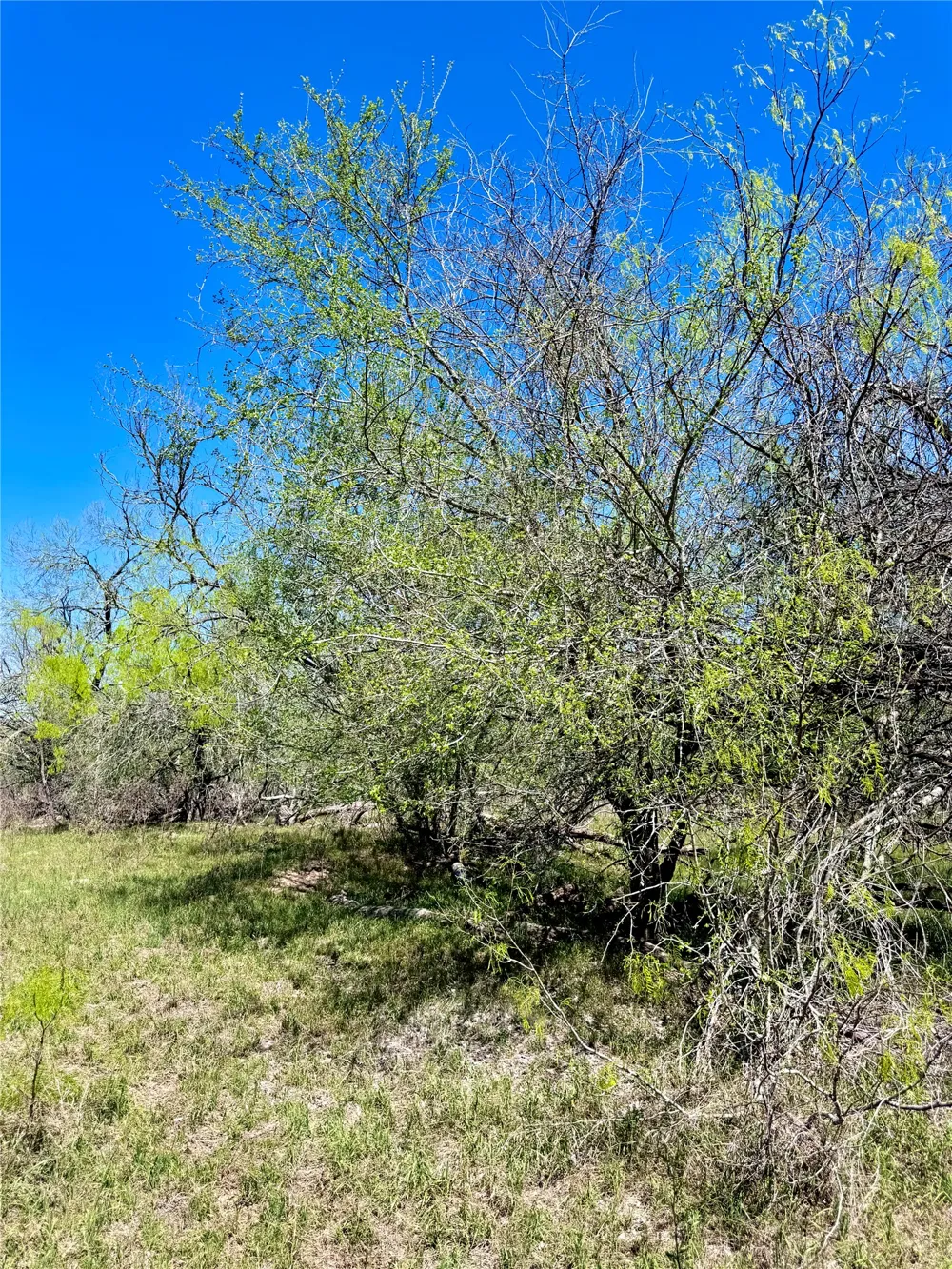 3775 Baker Road Kingsbury, TX 78638