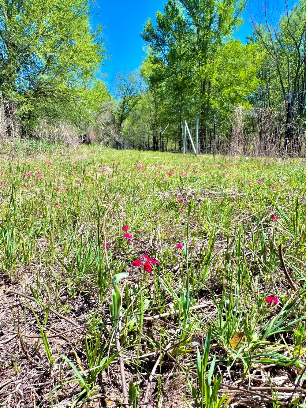 3775 Baker Road Kingsbury, TX 78638