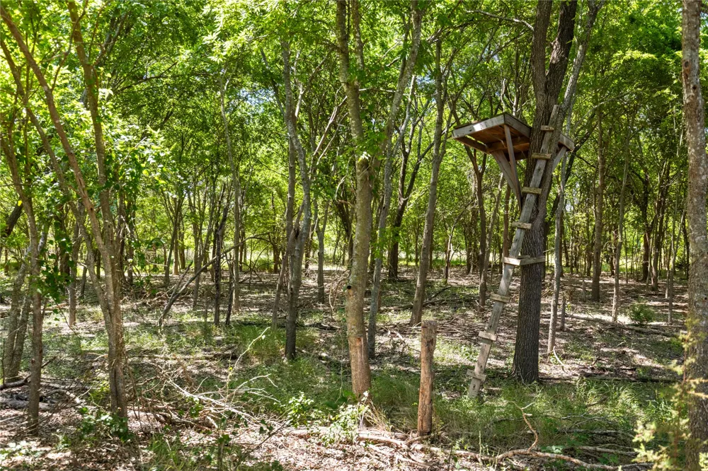 67 Sundown Drive Woodway, TX 76712