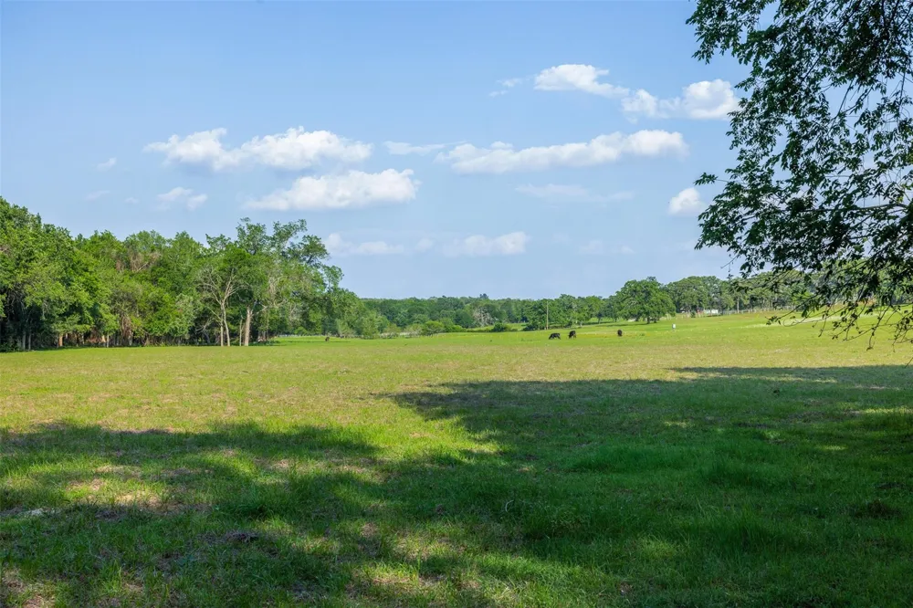 3004 County Road 310 Caldwell, TX 77836