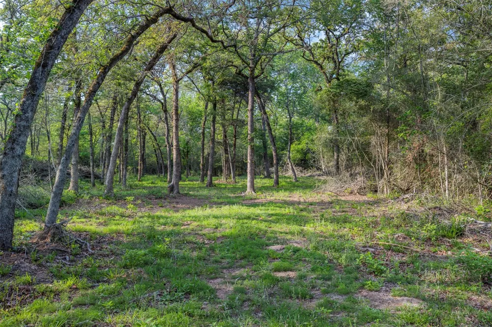 3004 County Road 310 Caldwell, TX 77836
