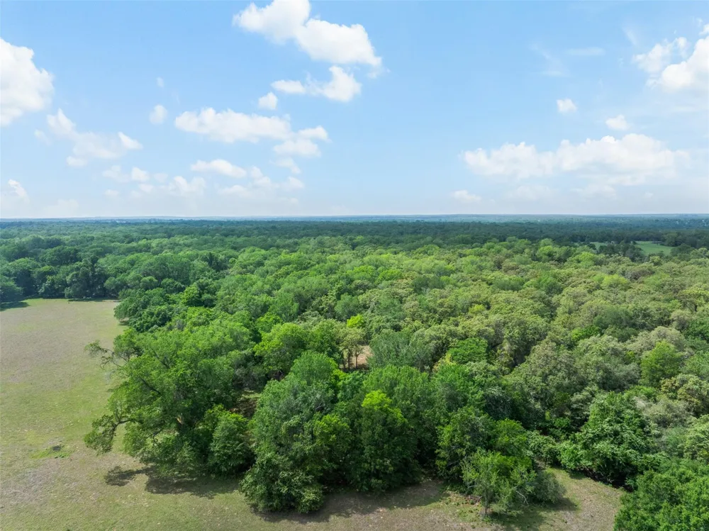 3004 County Road 310 Caldwell, TX 77836