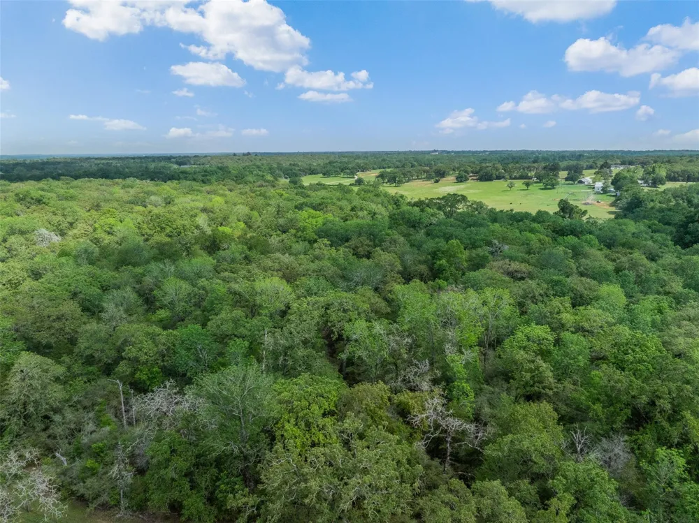 3004 County Road 310 Caldwell, TX 77836