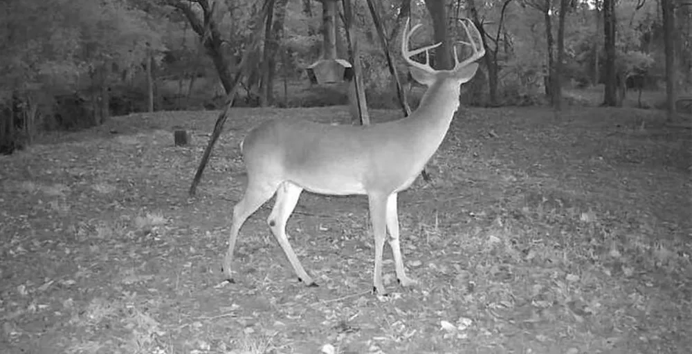 3004 County Road 310 Caldwell, TX 77836