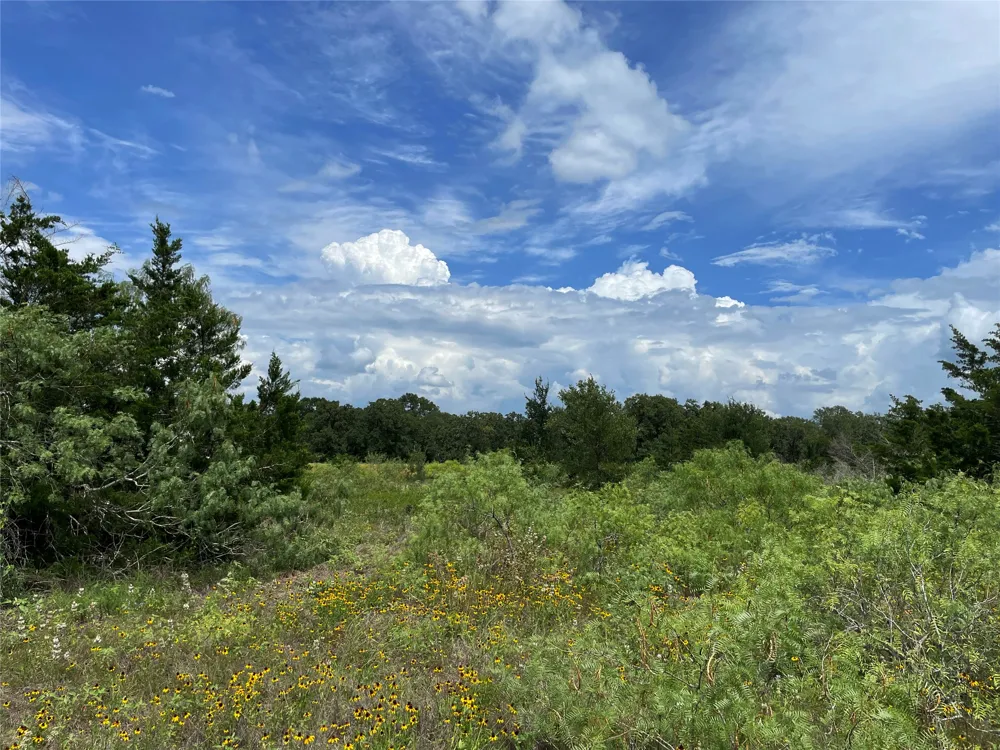 FM 141 Giddings, TX 78942