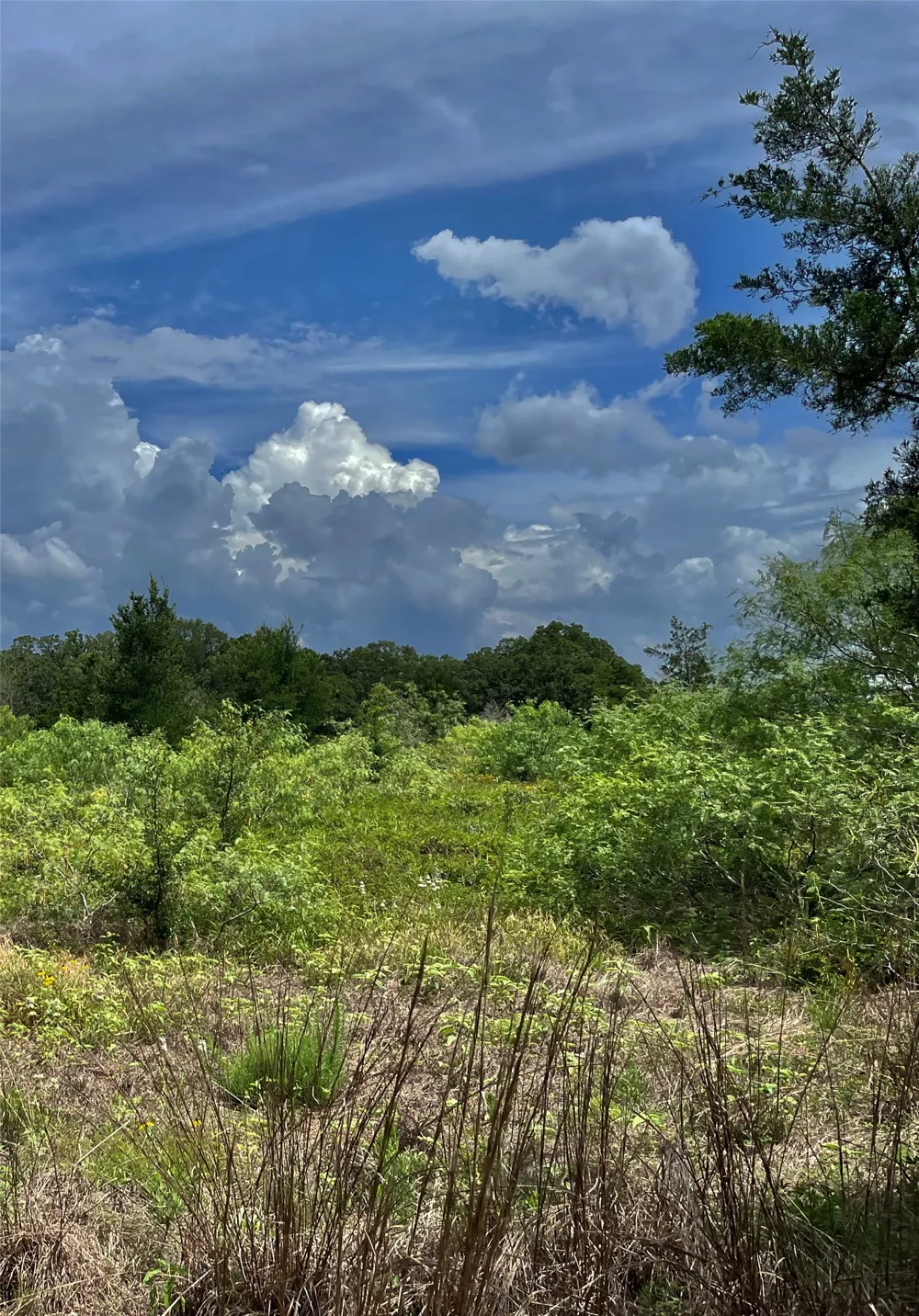 FM 141 Giddings, TX 78942