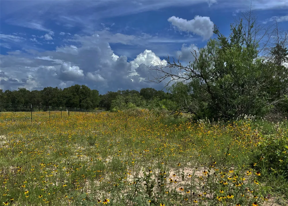 FM 141 Giddings, TX 78942