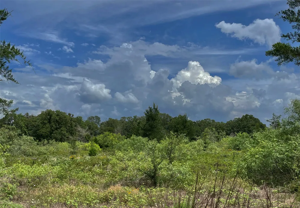 FM 141 Giddings, TX 78942