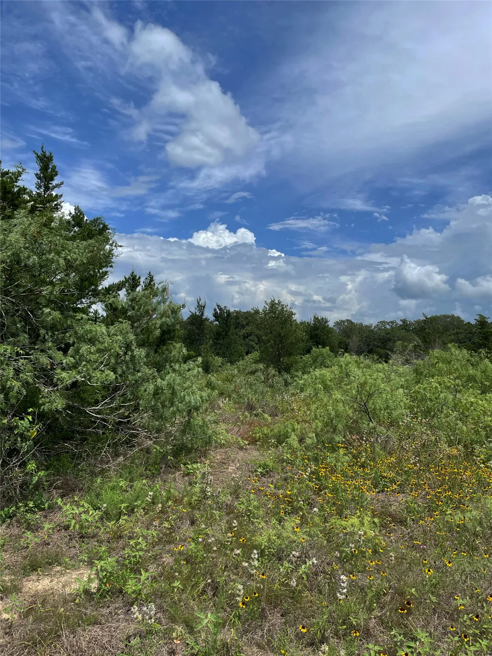 FM 141 Giddings, TX 78942