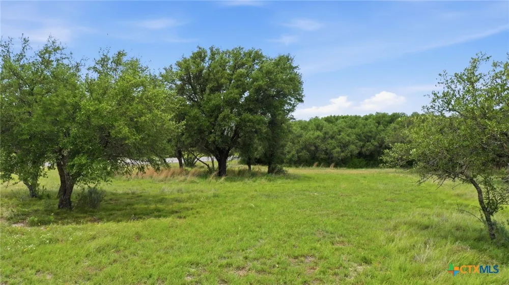 1360 W US Hwy 84 Mullin, TX 76864