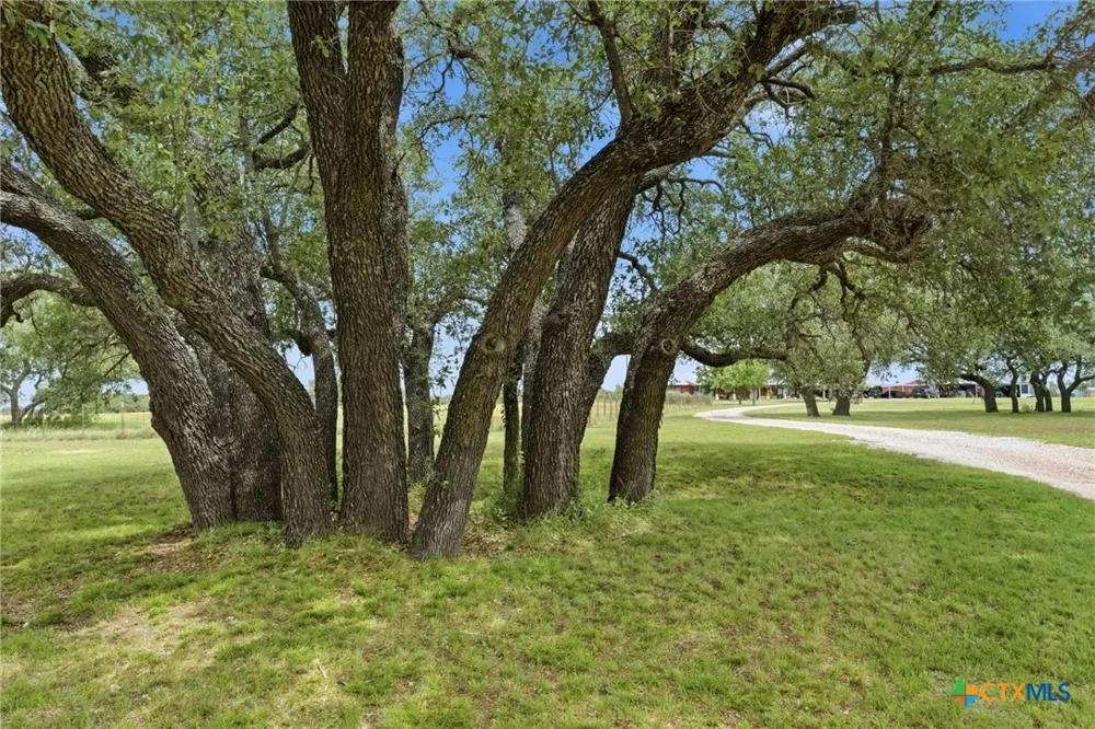 1360 W US Hwy 84 Mullin, TX 76864