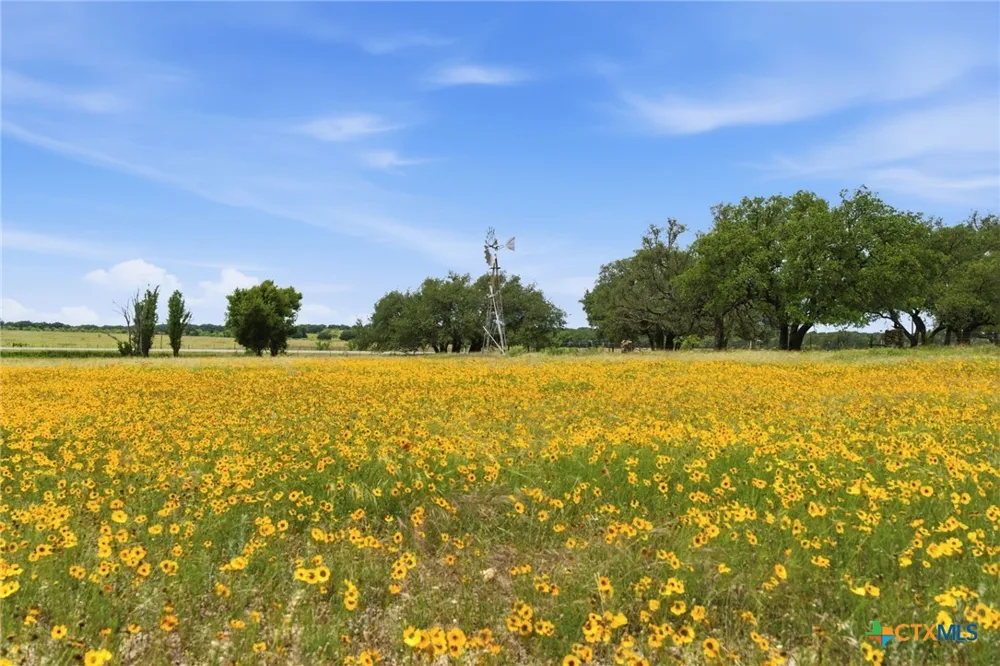 1360 W US Hwy 84 Mullin, TX 76864