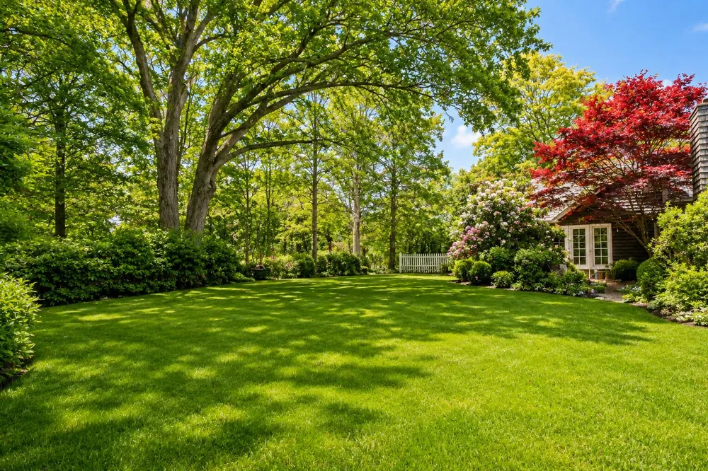 13309 Wilson Road New Buffalo, MI 49117