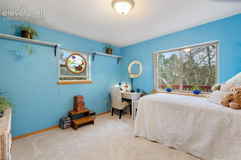 996 Spring Valley Drive Divide, CO 80814