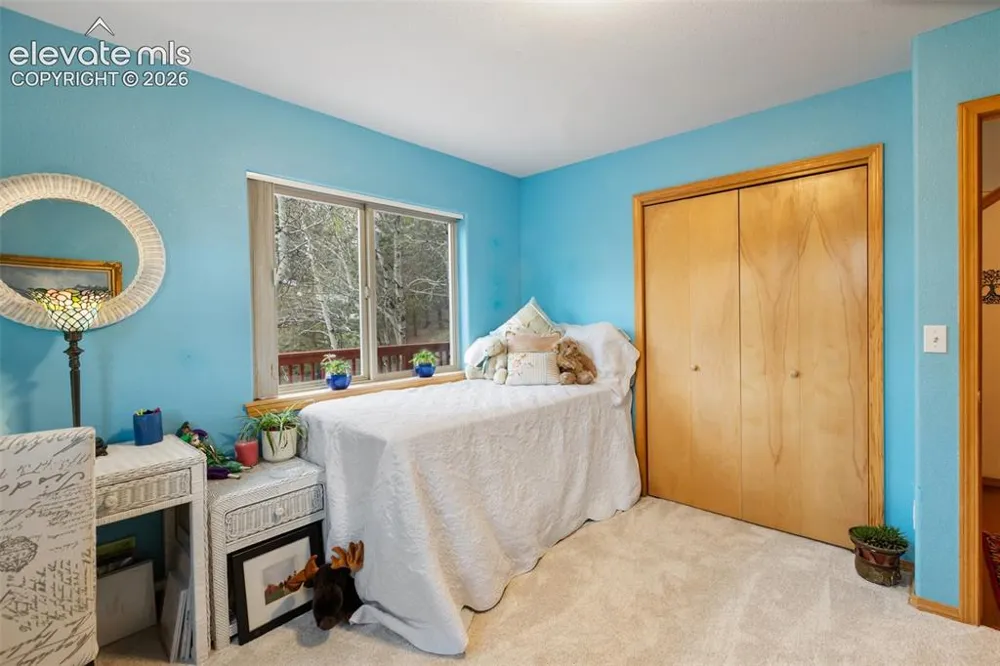 996 Spring Valley Drive Divide, CO 80814