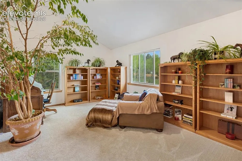 996 Spring Valley Drive Divide, CO 80814