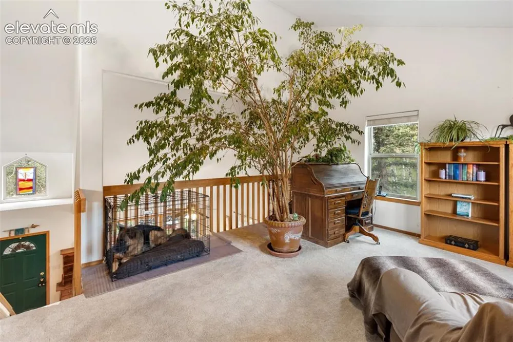 996 Spring Valley Drive Divide, CO 80814