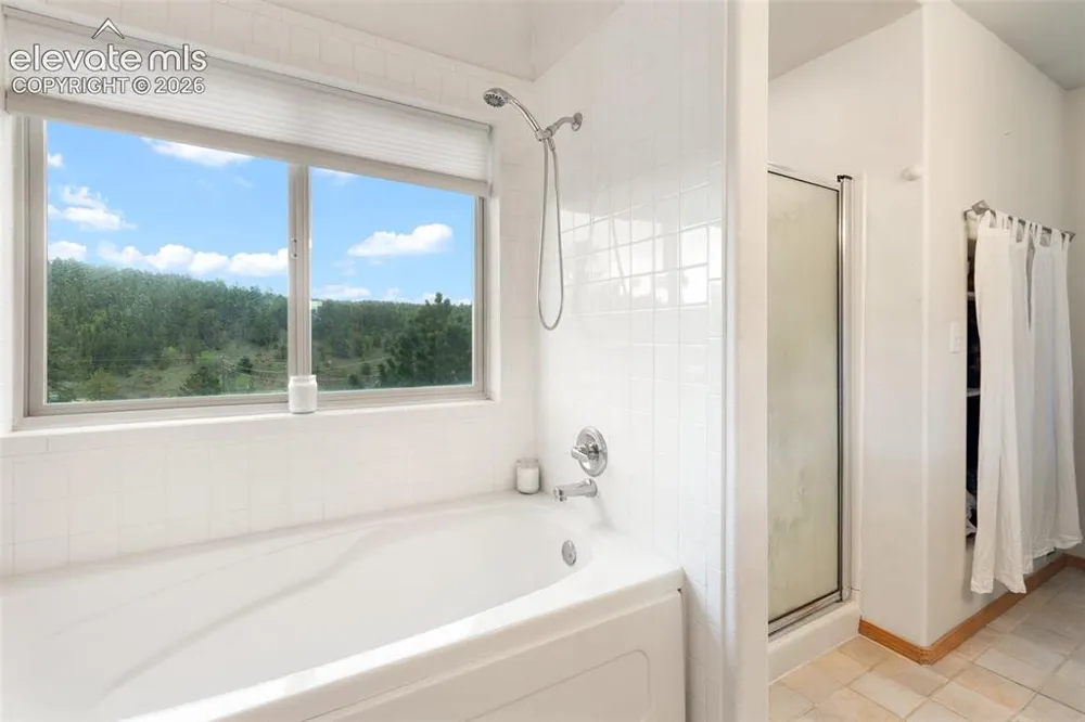 996 Spring Valley Drive Divide, CO 80814