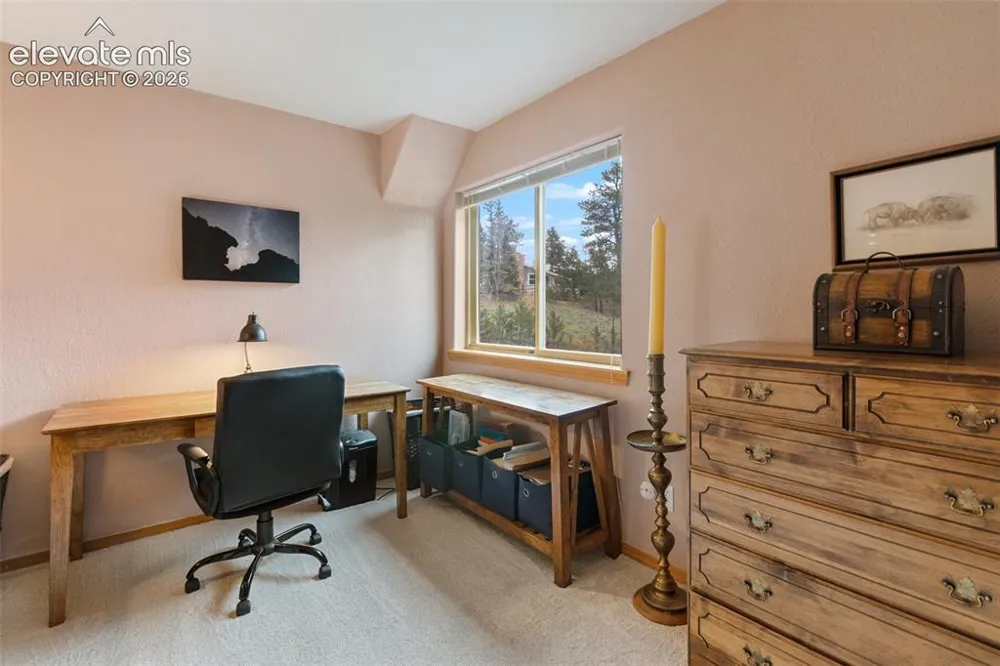 996 Spring Valley Drive Divide, CO 80814
